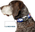 Buckle-Down 13-18" Colorado Skyline/Mountains Dog Collar, Wide Small Bone