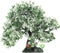 Aquarium Landscape Tree - Artificial Plastic Plants Tree Decoration with Resin Base for Fish Tank