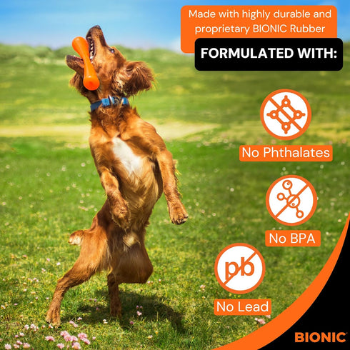 BIONIC Urban Stick Dog Toy - Small Interactive Chew Toy for Tough Chewers, for Dogs up to 20 lbs (9 kg)