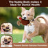 SPOT 12" Gigglers Chicken Dog Toy with Giggle Sound, Textured Plush Tug Toy with Rope Legs, for Small and Medium Dog