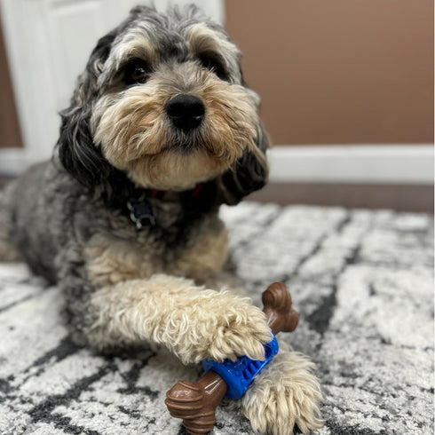 SPOT Bam-Bones PLUS Dental Chew Bone, Bamboo Fiber & Nylon with Massaging Rubber Center for Aggressive Chewers
