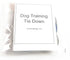 Dog Training Tie Out Cable, 3 Ft Chew Proof Cable for Potty Training, Jumping, and Destructive Chewing (Tie-Down with