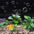 Aquarium Plastic Plants, Silk Plants Set Decor for Betta Fish (Green, 5pcs)