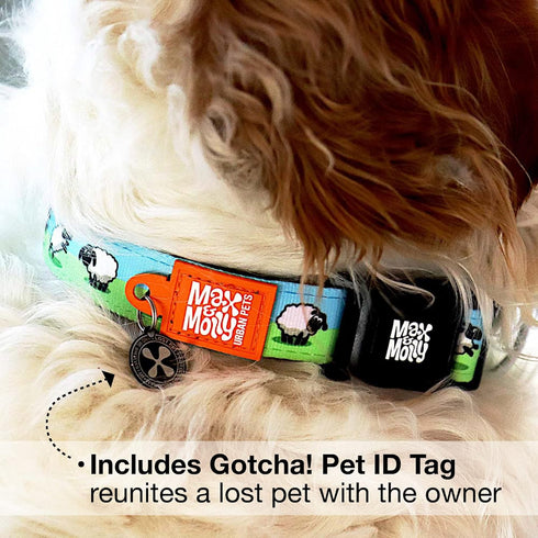 Max & Molly Black Sheep Dog Collar with Safety QR Code Tag, Soft Adjustable Waterproof Design