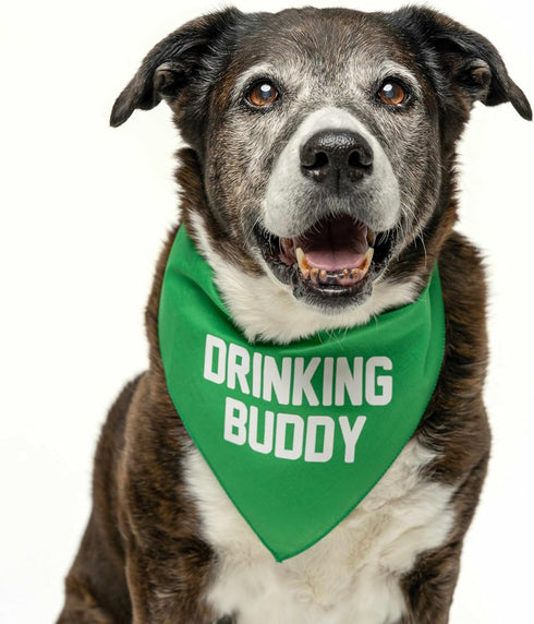 Drinking Buddy Dog Bandana, 100% Cotton Triangle, Made in USA, Funny Beer Lovers, Royal One Size (11)