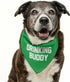 Drinking Buddy Dog Bandana, 100% Cotton Triangle, Made in USA, Funny Beer Lovers, Royal One Size (11)