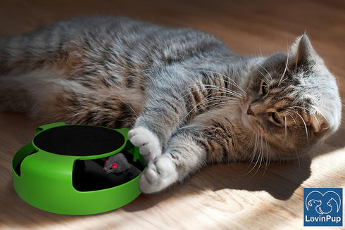 10" Interactive Cat Scratcher Toy Manual Spinning Mouse for Natural Play & Claw Care No Batteries, Quiet Design