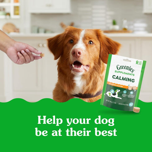 7.3 oz. 40 Count Greenies Supplements Calming Chews for Dogs Chicken Flavor, Dog Calming Chews, Container
