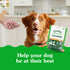 7.3 oz. 40 Count Greenies Supplements Calming Chews for Dogs Chicken Flavor, Dog Calming Chews, Container