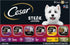 CESAR Adult Wet Dog Food Classic Loaf in Sauce, Steak Lovers Variety Pack, 36 Easy Peel Trays, 3.5 oz Each