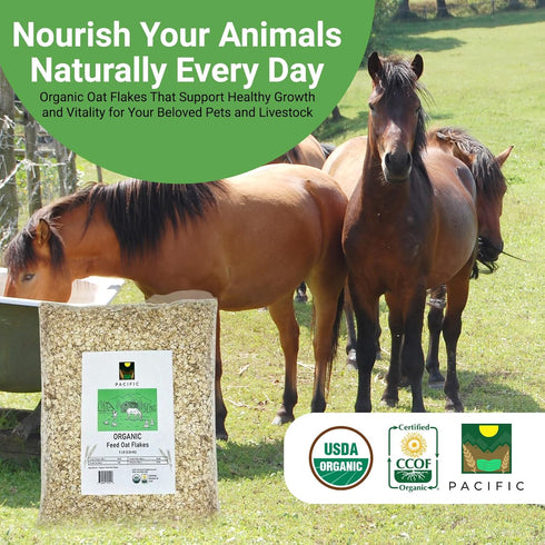 5Lbs Pacific Organic Petfood Organic Oat Flakes | Rich with Fiber & Minerals | USDA and CCOF Certified | Product of USA