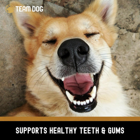 Beef Trachea Dog Chews, Single Ingredient Freeze Dried Beef Gullet Sticks for Healthy Teeth & Gums