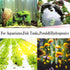 AQUANEAT Aquarium Air Stones 6x2 inch 2 Pack, Large Airstone for Aquariums, Hydroponic, Ponds