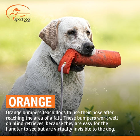 Dummies Dummy 2.75" 12" SportDOG Canvas - Hunting Dog Training Tool - Game Scent Absorber - Water-Ready Bumper