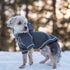 Blueberry Pet Essentials Charcoal Grey Dog Hoodie – 12 inch Cotton-Blend Sweatshirt with Hood, Machine-Washable