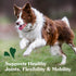 Greenies Hip and Joint Supplements for Dogs, Chicken Flavor, 30 Count Soft Chews, 6.08 oz