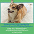32 Count Out! PetCare Disposable Male Dog Wraps, Puppy Pee Wraps, Belly Bands for Dogs, Leak Proof, Wetness Indicator