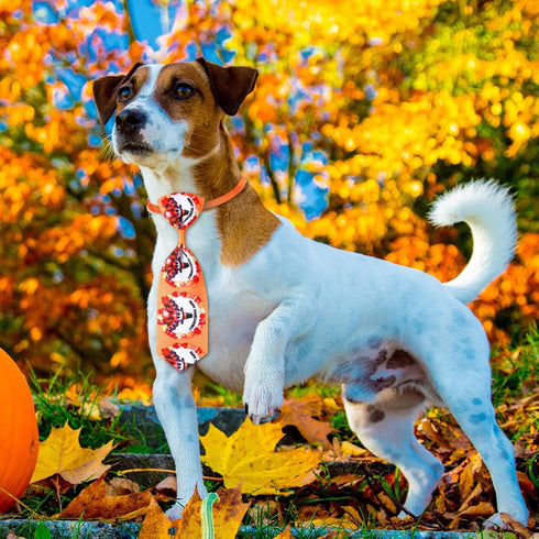Eccliy 120 Pcs Thanksgiving Dog Bows Ties Collars, Adjustable Pumpkin Turkey Maple Leaves Pattern for Dogs Cats
