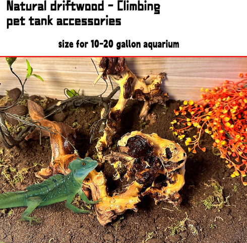 Hamiledyi Natural Trunk Driftwood Assorted Branches 8-12" for Fish Tank Decoration, 3 Pcs