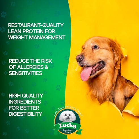2 Lucky Premium Treats Chicken Wrapped Dog Treats USA Made Raw Hide Sticks for Extra Large Size Dogs Long Lasting