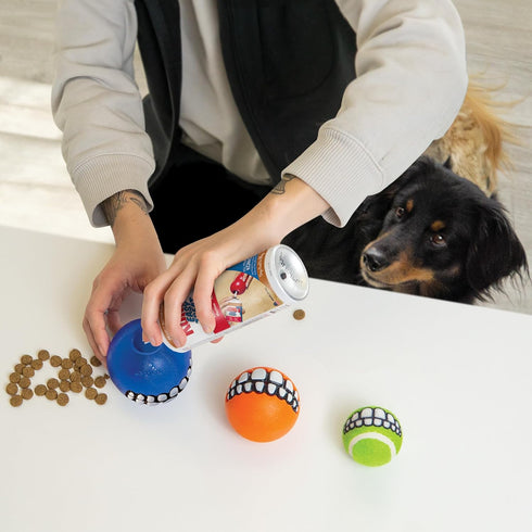 Packs (6 Pack)) KONG Grinz by Rogz Variety - Durable Bouncy Balls with Grinz Teeth - Smiley Face Dog Toy (Medium