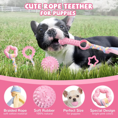 Puppy Toys, 6 Pack Teething Chew Toys for Small Breed, Cute Pink Soft Rubber Durable Dog Toys Set