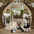 Runway Pup Collection by Dog Diggin Designs | Unique Squeaky Plush Dog Toys – Haute Couture Purses & Handbags
