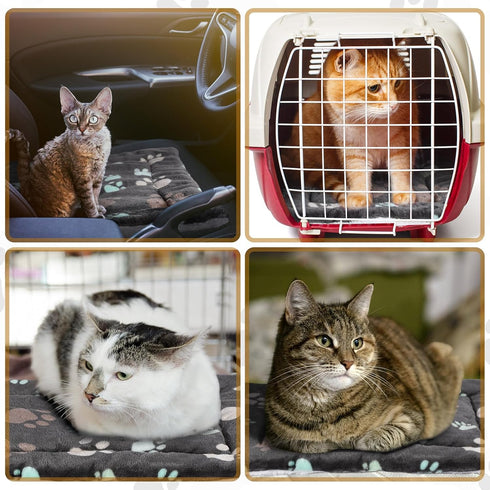 4 Pack Ultra Soft Dog Cat Bed Mat, Cozy Washable Thickened Pet Bed for Small Animals (Black, 13 x 19)