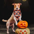 STMK Holiday Plaid Dog Bandanas for Halloween Thanksgiving, Daddy's Little Turkey & Mama's Little Pumpkin Scarf for
