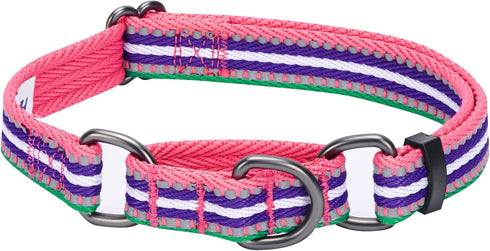 Blueberry Pet 4 Colors 3M Reflective Multi-colored Stripe Martingale Safety Training Dog Collar, Large, Pink Emerald