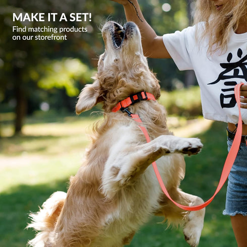 CollarDirect Reflective Dog Collar with Quick Release Buckle for Small, Medium, Large Dogs or Puppies - Nylon Suitable