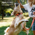 CollarDirect Reflective Dog Collar with Quick Release Buckle for Small, Medium, Large Dogs or Puppies - Nylon Suitable