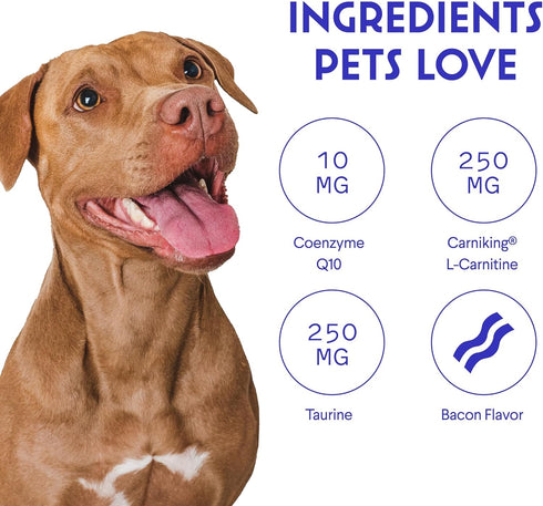 Q10 90 Wonder Paws Cardio Support for Dogs Cardiovascular Chews Heart Health, Circulation, Energy & Weight Management