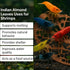 10 Pack, 6 Shrimp Tank Accessories Indian Almond Leaves for Shrimps,Snails,Crayfish Dried Catappa Leaves for Aquariums