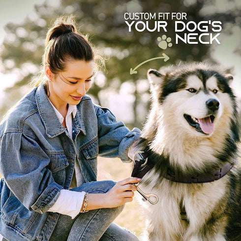 Ram-Pro Small Dog Training Collar - Triple Crown Pro Pinch Collar for Gentle Effective Control, No Barking