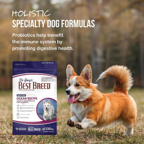 Best Breed Dr. Gary's Grain Free Ocean Recipe Dry Dog Food, Natural for All Breeds and Sizes, 4lbs