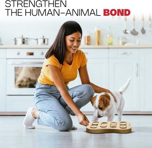 Spot Ethical Pet Interactive Seek-A-Treat Shuffle Bone Puzzle Toy for Dog Training and IQ Improvement
