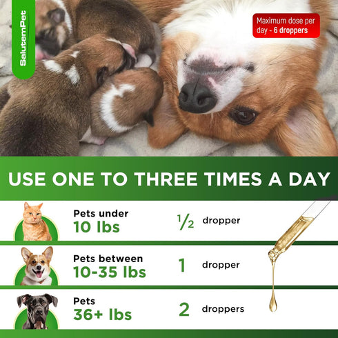 Dog Prenatal Vitamins, Supplies for Pregnant Cats, Vitamins for Dogs and Cats, 2 oz