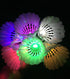 LED Badminton Shuttlecocks, Colourful Lighting Birdies, Plastic Nylon Shuttlecock, Glow in The Dark Birdie Balls (4/5/6