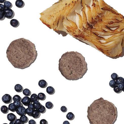 The Honest Kitchen Superfood Cod Crisps, Cod & Strawberry, 3 oz