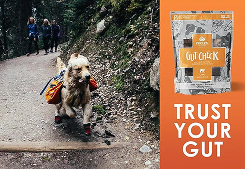 Gut Check Digestive & Gut Health Lamb Recipe Dog Treats, 4.5 oz