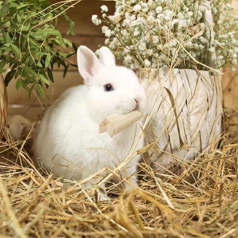 Niteangel Natural Bamboo Chew Toys for Rabbits, Chinchilla, Guinea Pigs
