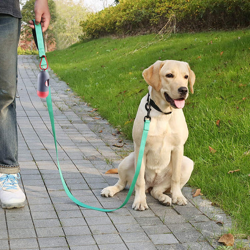 VIVAGLORY Dailyx Dog Leash, Puppy Leash for Training & Walking, Heavy Duty Double Layer Nylon, 6ft x 1in, Green
