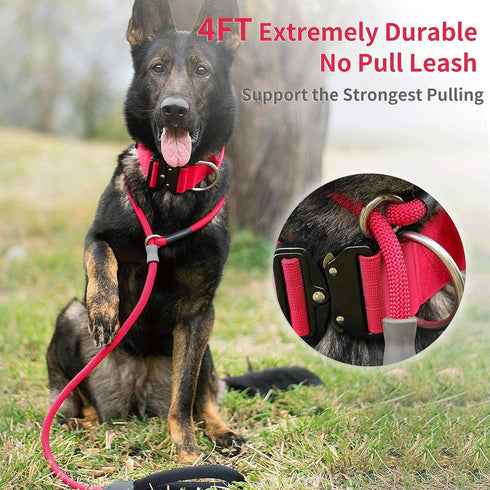 Strong Slip Rope Dog Training Leash 4ft, Heavy Duty Braided Nylon Lead with Padded Handle for Medium Large Dogs