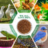 KAYHEN 10LB Dried Black Soldier Fly Larvae Non-GMO BSF Larvae for Chickens More Calcium Than Mealworms High-Protein