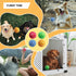 4 Pack 2.0" AMA SPORT Squeaky Tennis Balls for Dogs Small Tennis Balls for New Puppy Small Dog Toys for Fetch