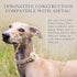 Cupertino Dog Collars, Harnesses & Leashes - Vegan Leather with Dog Tracker Device Holder, Adjustable (Small, Beige)