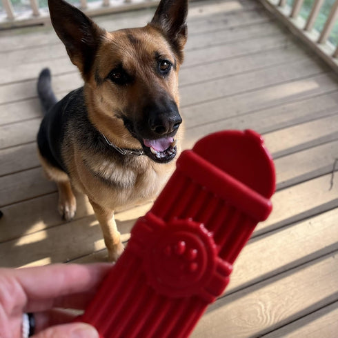 Doggie Dooley Fire Hydrant Heavy Duty Dog Chew Toy for Aggressive Chewers, Red, USA Made Nylon, Large, 7 inch (5001N)