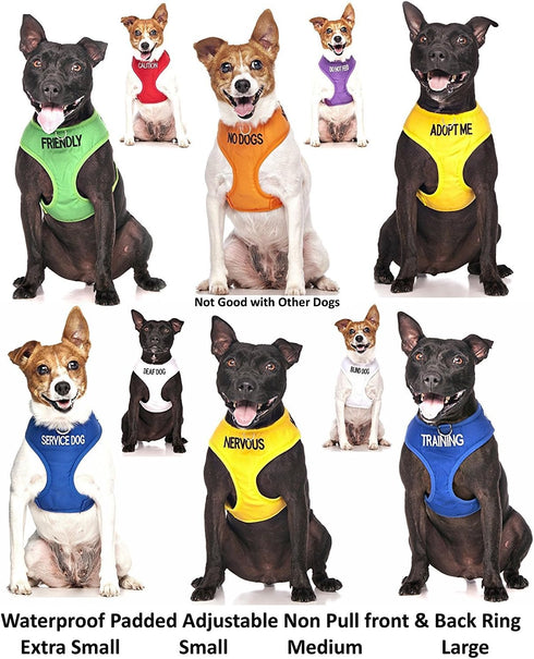 Color Coded Dog Accident Prevention Leash 4ft/1.2m, Caution Dexil Friendly Dog Collars