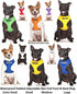 Color Coded Dog Accident Prevention Leash 4ft/1.2m, Caution Dexil Friendly Dog Collars